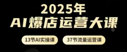 2025年AI爆店运营大课，13节AI实操课+37节流量运营课-庄子聊项目