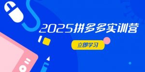 2025拼多多实训营：深度剖析运营关键，助力电商人快速提升-庄子聊项目