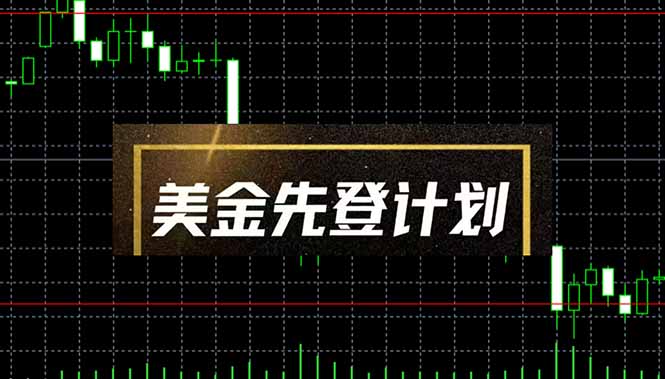 美金先登计划(2025黑马项目-庄子聊项目
