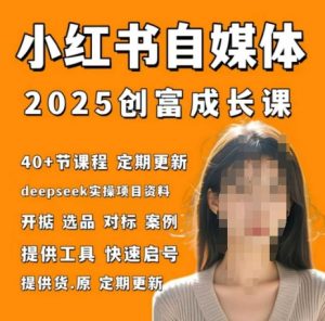 小红书电商自媒体创富课2.0版，实战打卡笔记训练营-庄子聊项目