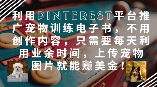 利用Pinterest平台推广宠物训练电子书，不用创作内容，只需要每天利用业余时间，上传宠物图片就能挣美金!-庄子聊项目