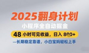 2025小程序全自动掘金，48 小时可见收益，日入8张，长期稳定靠谱，小白宝妈轻松上手【揭秘】-庄子聊项目