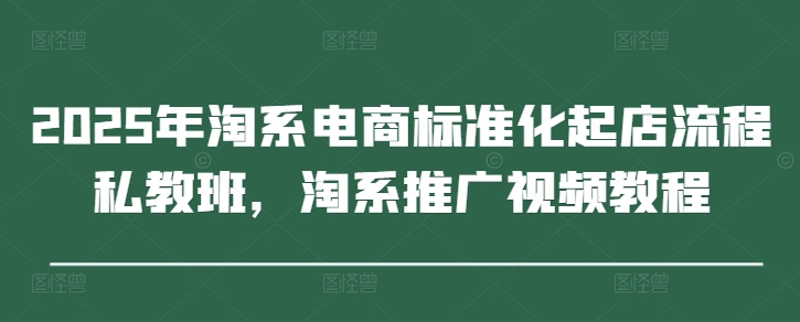 2025年淘系电商标准化起店流程私教班，淘系推广视频教程-庄子聊项目