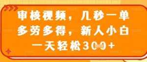 视频审核员，几秒一单，不限时间，不限地点，多做多得，新人小白一天轻松几张+【揭秘】-庄子聊项目