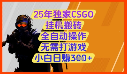 25年独家CSGO挂G搬砖，全自动操作，无需打游戏，小白日入3张+【揭秘】-庄子聊项目