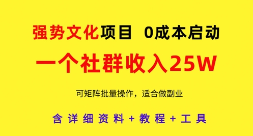 强势文化项目，一个社群收入25个W，0成本启动，可矩阵批量操作，原创详细实操教程-庄子聊项目