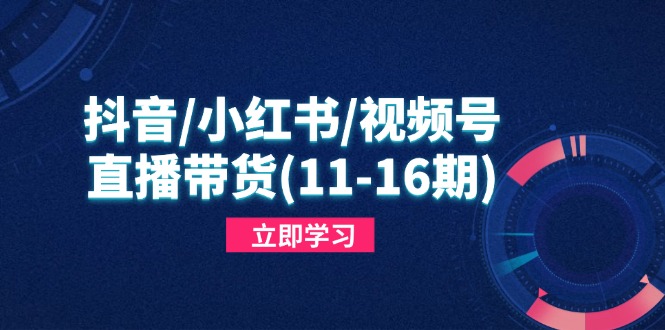 抖音/小红书/视频号/直播带货(11-16期-庄子聊项目
