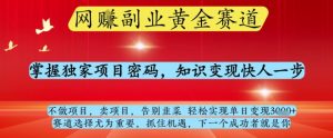 网创副业黄全赛道，掌握独家项目密码，知识变现快人一步，告别韭菜轻松实现单日变现1k+【揭秘】-庄子聊项目