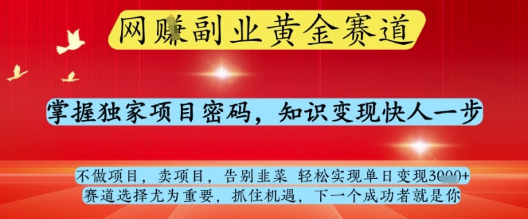 网创副业黄全赛道，掌握独家项目密码，知识变现快人一步，告别韭菜轻松实现单日变现1k+【揭秘】-庄子聊项目