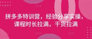 拼多多特训营，经验分享实操，课程时长拉满，干货拉满(更新25年4月)-庄子聊项目