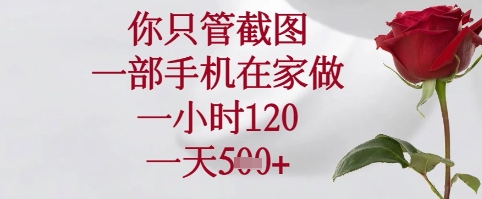 你只管截图，一部手机在家可以做，一小时120.一天5张+【揭秘】-庄子聊项目