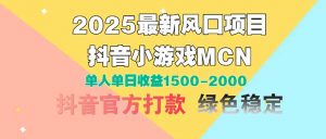 2025最新风口项目 抖音小游戏MCN 单人单日收益1500-2000+-庄子聊项目