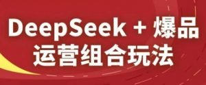 DeepSeek+爆品运营组合玩法，2025淘系精品课-庄子聊项目