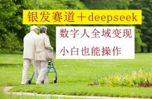 银发赛道+deepseek数字人全域变现，小白也能操作-庄子聊项目