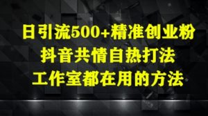 日引流500+精准创业粉，抖音共情自热打法，工作室都在用的方法-庄子聊项目