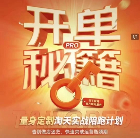 淘宝开单秘籍PRO，量身定制淘天实战陪跑计划，告别做店迷茫、快速突破运营瓶颈期(更新)-庄子聊项目