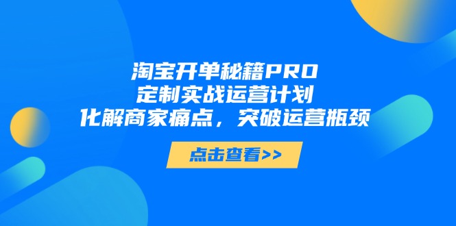 淘宝开单秘籍PRO，定制实战运营计划，化解商家痛点，突破运营瓶颈-庄子聊项目