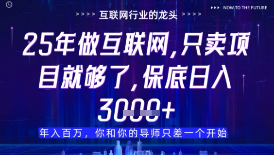 什么！25年你还在找项目做？风口早就变了，卖项目才是稳挣不赔【揭秘】-庄子聊项目