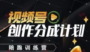 视频号创作分成计划陪跑训练营,手把手教会你如何制作视频,细水长流型项目-庄子聊项目