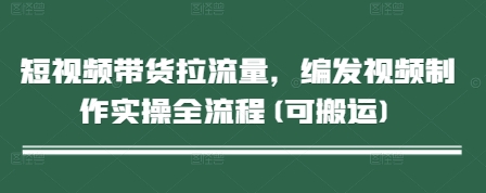 短视频带货拉流量，编发视频制作实操全流程(可搬运)-庄子聊项目