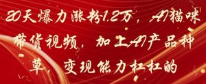 20天爆力涨粉1.2W，AI猫咪带货视频，加上AI产品种草，变现能力杠杠的-庄子聊项目