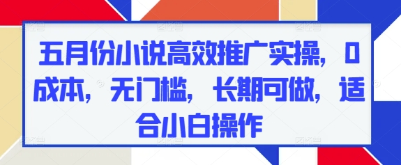 五月份小说高效推广实操，0成本，无门槛，长期可做，适合小白操作-庄子聊项目