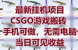 最新挂G项目,CSGO游戏搬砖,手机可做,无需电脑,当日见收益【揭秘】-庄子聊项目