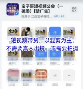 宝子哥头部团队短视频带货,以混剪为主,不需要真人出镜,不需要拍摄-庄子聊项目
