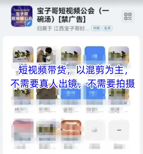 宝子哥头部团队短视频带货，以混剪为主，不需要真人出镜，不需要拍摄-庄子聊项目