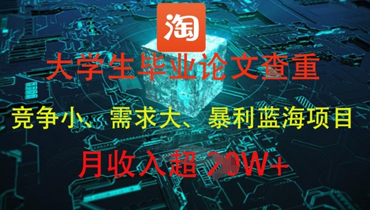 大学生毕业论文查重，暴利蓝海项目，月收入过1W+-庄子聊项目