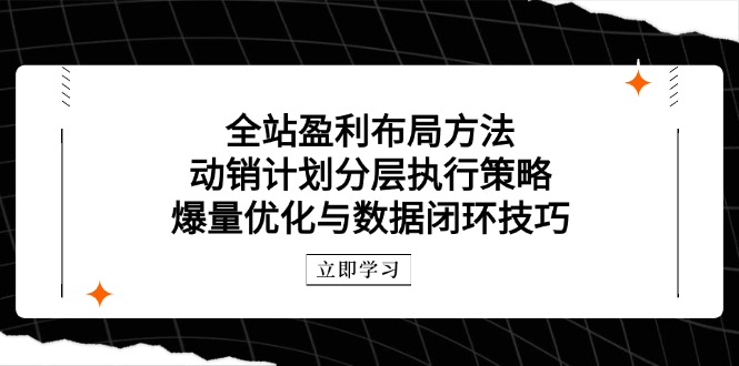 全站盈利布局方法：动销计划分层执行策略，爆量优化与数据闭环技巧-庄子聊项目