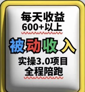 被动收入实操3.0项目，每天收益6张+以上，能长期操作-庄子聊项目