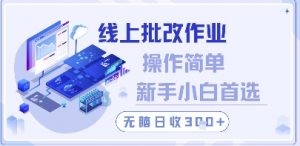 线上批改作业,操作简单新手小白首选,无脑日收300+【揭秘】-庄子聊项目