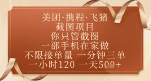 飞猪美团截图项目,你只管截图,一部手机在家做,正规平台无套路,一天5张+【揭秘】-庄子聊项目