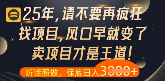 什么？25年你还在疯狂找项目做，醒醒吧，看完这些你全都懂了【揭秘】-庄子聊项目