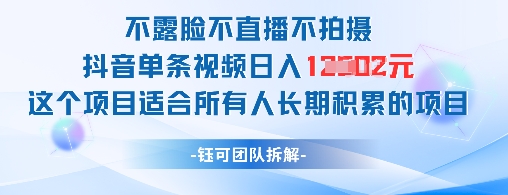 不露脸不直播不拍摄抖音单条视频日入1k+这个项目适合所有人长期积累的项目-庄子聊项目