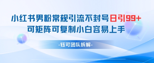 小红书男粉常规引流不封号日引99+变现简单 可矩阵可复制小白容易上手-庄子聊项目