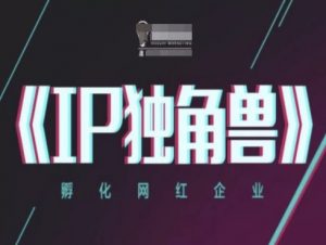 IP独角兽，孵化网红企业，ip教程-庄子聊项目