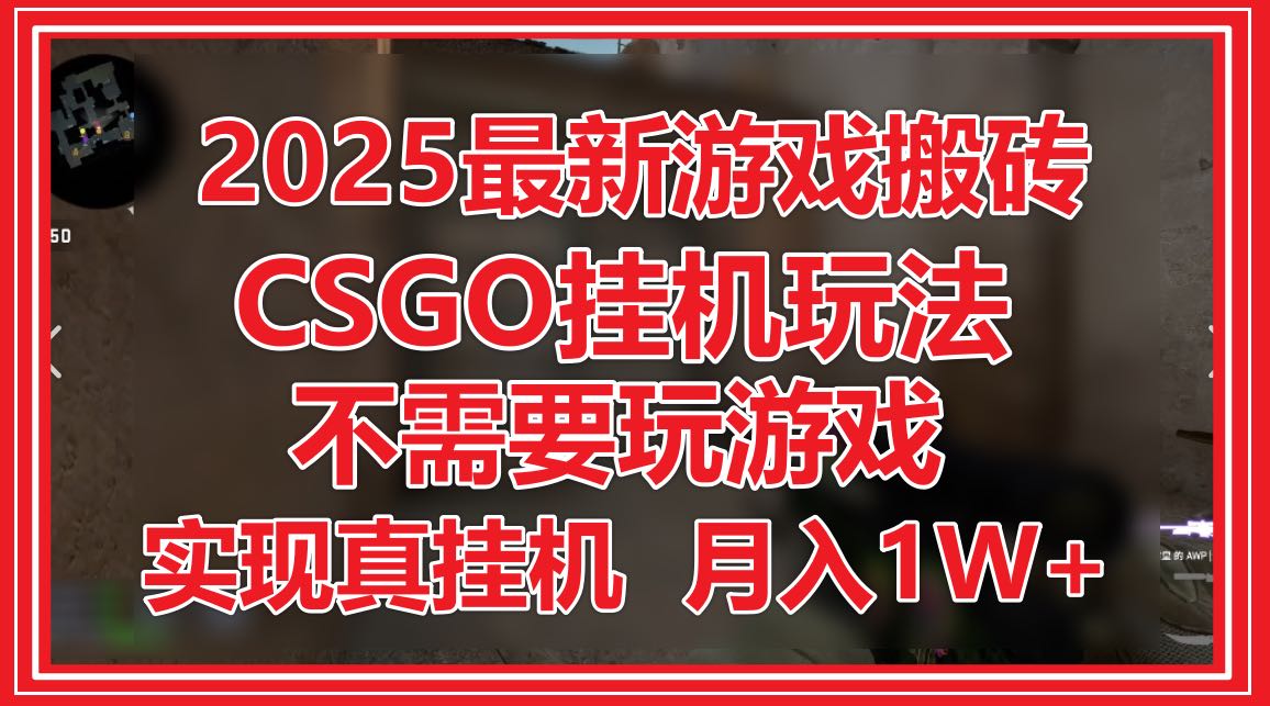 2025最新游戏搬砖，CSGO挂机，不需要玩游戏，实现真挂机，月入1W+-庄子聊项目