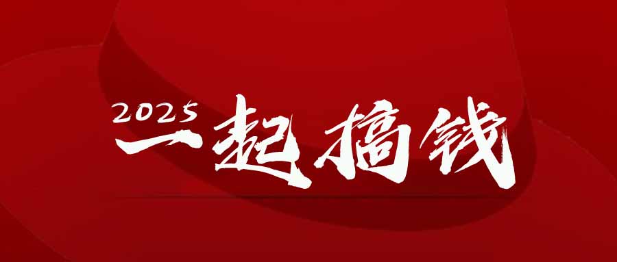 2025年，请“不择手段”去搞钱!-庄子聊项目