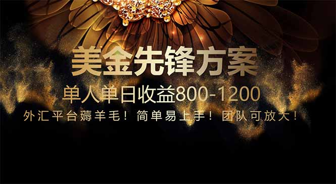 免费技术！小众赛道！一年布局抵三年努力，每日800+-庄子聊项目