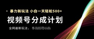 视频号分成计划,全网最暴力玩法,新手一天也能轻松5张+-庄子聊项目