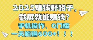 2025赚钱野路子,截屏就能赚钱?手机操作0门槛,一天躺赚600+!!!-庄子聊项目