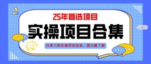 2025年实操六大项目实操演练，挂机类型，AI直播类型，轻资产创业类型，…-庄子聊项目