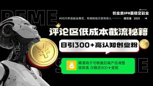 评论区低成本引流秘籍，精准钩子直击用户，单账号日增300+创业粉，日稳…-庄子聊项目