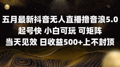 2025五月最新无人直播撸音浪单日产出5张+实操教程【揭秘】-庄子聊项目