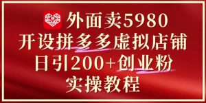 外面卖5980开设拼多多虚拟店铺:单日引流200+创业付费粉实战教程-庄子聊项目