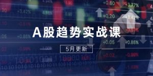 A股趋势实战课：主力动向+政策红利，2025全年策略5月更新-庄子聊项目