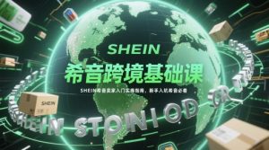 希音跨境基础课，SHEIN希音卖家入门实操指南，新手入坑希音必看-庄子聊项目