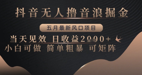 抖音无人撸音浪掘金，五月最新风口项目，当天见效，日收益多张，小白可做简单粗暴可矩阵【揭秘】-庄子聊项目